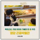 영암곤충박물관 | 주말 아이와 가볼만한 곳 추천, 목포 근교 영암곤충박물관 방문 후기