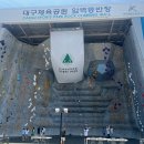 산악의원 | [대회 후기] 제1회 뽀빠이배 전국 청소년 스포츠 클라이밍 대회 in 대구스타디움 암벽장