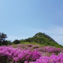 제85차 정기산행 이미지