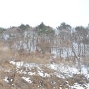 자연 제1농장 이미지