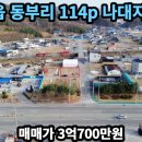 선산대로-25 이미지