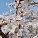 광천 하상주차장 이미지