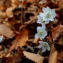 지랑마을 이미지