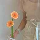 플레르(fleur) - 평택시 | w. [웨딩촬영부케] 잔비에플레르 촬영부케 후기 : 부산 가성비 웨딩촬영부케 추천 (가격, 위치 등)