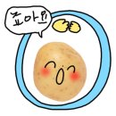 더 호프 이미지