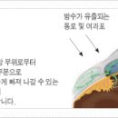 자기 전 스마트폰하면 눈 박살나는 이유 이미지