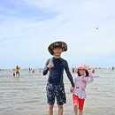 여름방학 어린이필독서 디스커버리첫지식백과 &lt;풍요로운 갯벌&gt;