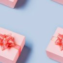 대구보건대학교 이미지