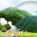 보람2 Daum카페