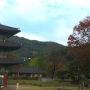 중앙로+진각로 이미지