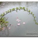 광성추어탕 이미지