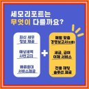 세무회계새로