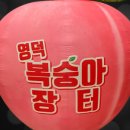 에어바이블주 이미지