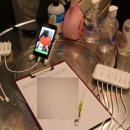 홍익한사랑의원 이미지