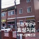 사랑니 뺀 발치 솔직 후기 - 인천 계양구 효성치과 최고 추천 (가격, 위치)