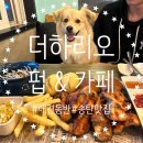 감자PC | [더하리오 펍/카페]송탄맛집/애견동반가능한 송탄역술집에서 감자데리고 술한잔한 후기