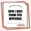 영동중고등학교 | [경북|영천] 가성비 좋은 영천 시청 근처 현지인 맛집 동부낙곱새 솔직 후기