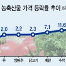 대지의 비상 이미지