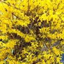 꺽쇠한우 이미지