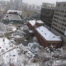 분홍빛으로병원 이미지