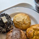 대전광역시지역버스 노동조합 | 대전핫플 가양동 맛집 플라잉스콘 대전복합버스터미널점 추천 가격 먹는법 해운대 본점
