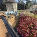 춘성농장 이미지