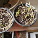 주아가 - 기장군 해빛6로 81-13 | 주아가