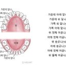 아기 이빨 나는 시기와 3세까지 삶 이미지