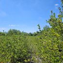 귀소농장 이미지