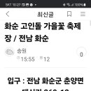 화순고인돌축제장 이미지