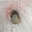 우리앤동물병원 이미지