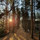 도레미공인중개사사무소 이미지