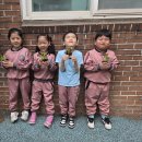 [4월 5주] 평화반의 텃밭가꾸기(채소 모종심기) 이미지