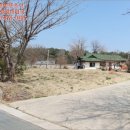 하양혈리 이미지