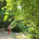 오두산 치유숲 이미지