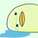 동물병원 이음 이미지