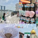 (주)나이트벤더스스튜디오 | 싱가포르 이심 도시락eSIM 후기 부모님 효도여행 관광 코스 추천