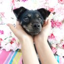 동해대로 이미지