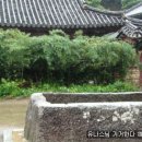 역전꼬막 이미지