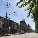 댕강댕강 이미지