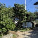 명성전기 | 영흥도 명성가족캠핑장 다녀온 후기