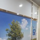 도솔약국 이미지