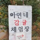 아연네감귤체험농장