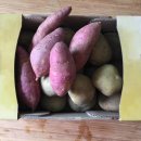 리빙인싸 이미지