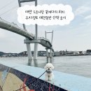 산책 | 태안 드르니항 꽃게다리 위치 주차정보 애견동반 산책 후기