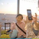 도토리 하우스 이미지