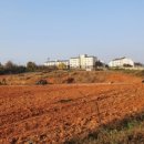 온양4동 실옥로 이미지