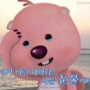 W02. 뚜벅이의 웨딩홀 투어 1탄(웨딩시그니처, 케이터틀, 웨딩시티, JK아트컨벤션, 더베뉴지 장단점...
