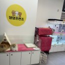 댕댕프렌즈 이미지