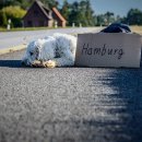 버거킹 앞 이미지